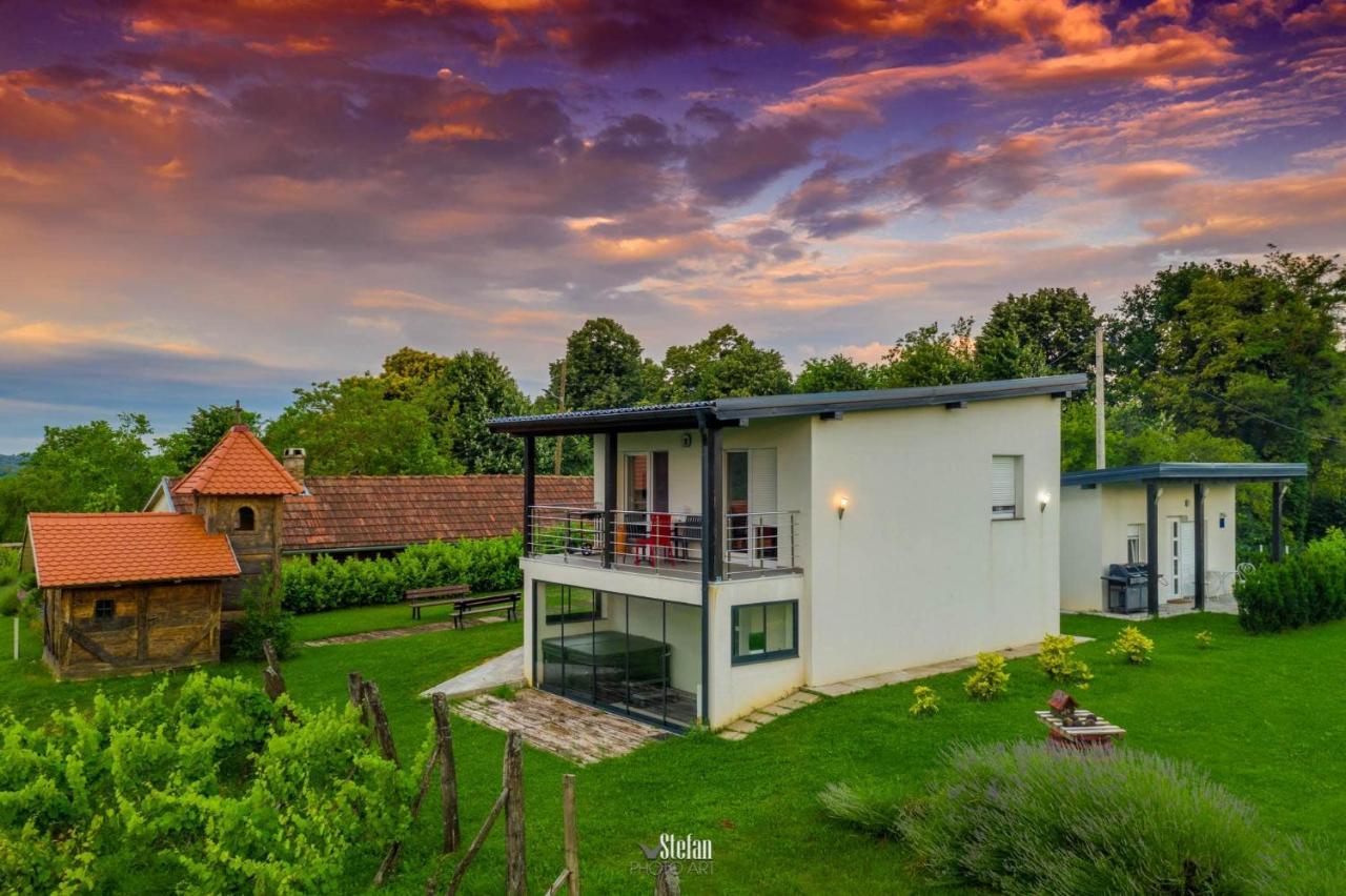 Kuce Za Odmor -Japin Breg Villa Ðurđevac Dış mekan fotoğraf