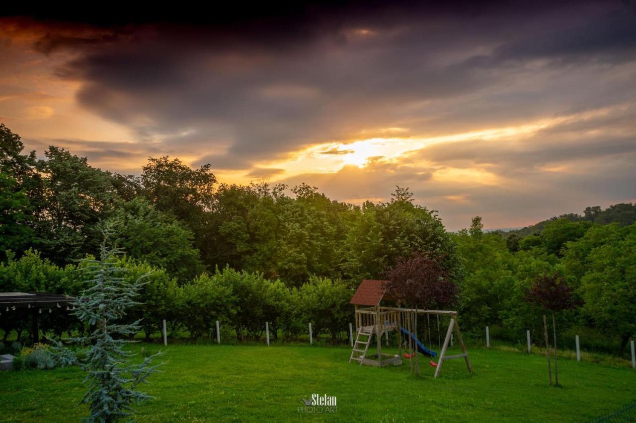Kuce Za Odmor -Japin Breg Villa Ðurđevac Dış mekan fotoğraf