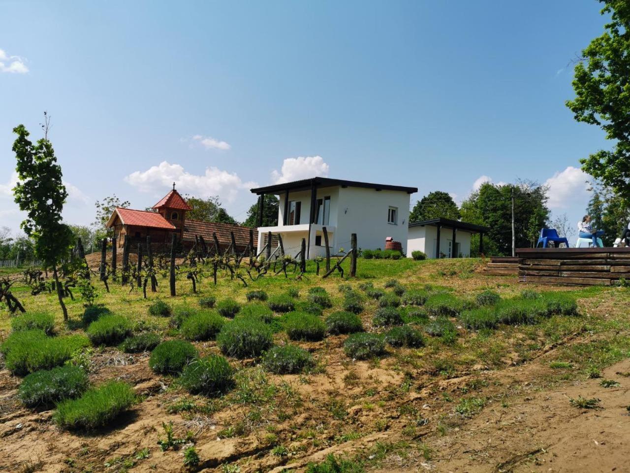 Kuce Za Odmor -Japin Breg Villa Ðurđevac Dış mekan fotoğraf
